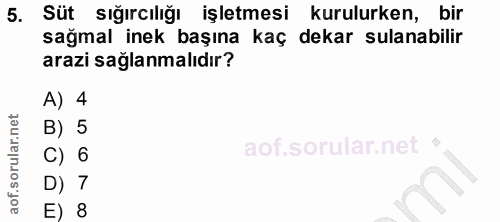 5. soru: Süt sığırcılığı işletmesi kurulurken, bir sağmal inek başına kaç dekar sulanabilir arazi sağlanmalıdır? A) 4 B) 5 C)…
