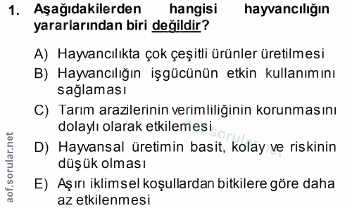 1. soru: Aşağıdakilerden hangisi hayvancılığın yararlarından biri değildir? A) Hayvancılıkta çok çeşitli ürünler üretilmesi B)…
