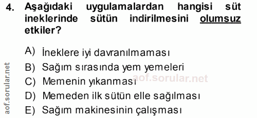 4. soru: Aşağıdaki uygulamalardan hangisi süt ineklerinde sütün indirilmesini olumsuz etkiler? A) İneklere iyi davranılmaması…