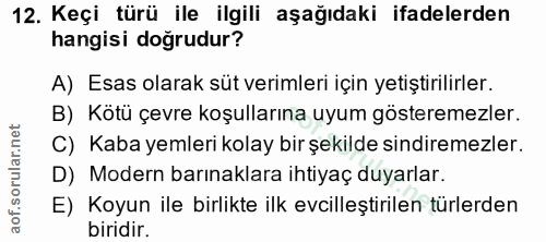12. soru: Keçi türü ile ilgili aşağıdaki ifadelerden hangisi doğrudur? A) Esas olarak süt verimleri için yetiştirilirler. B) Kö…