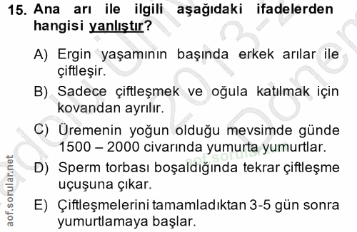 15. soru: Ana arı ile ilgili aşağıdaki ifadelerden hangisi yanlıştır? A) Ergin yaşamının başında erkek arılar ile çiftleşir. B)…