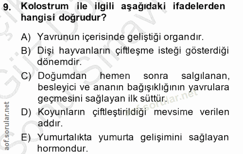 9. soru: Kolostrum ile ilgili aşağıdaki ifadelerden hangisi doğrudur? A) Yavrunun içerisinde geliştiği organdır. B) Dişi hayva…