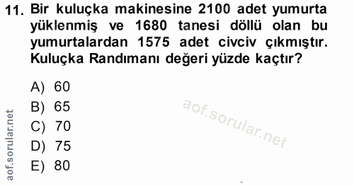 11. soru: Bir kuluçka makinesine 2100 adet yumurta yüklenmiş ve 1680 tanesi döllü olan bu yumurtalardan 1575 adet civciv çıkmış…