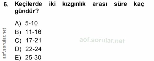 6. soru: Keçilerde iki kızgınlık arası süre kaç gündür? A) 5-10 B) 11-16 C) 17-21 D) 22-24 aof. E) 25-30