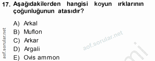 17. soru: Aşağıdakilerden hangisi koyun ırklarının çoğunluğunun atasıdır? A) Arkal B) Muflon C) Arkar D) Argali E) Ovis ammon