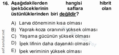 16. soru: Aşağıdakilerden hangisı hibrit ipekböceklerinin saflara olan üstünlüklerinden biri değildir? A) Larva döneminin kısa…