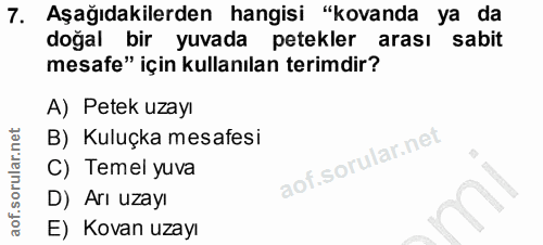 7. soru: Aşağıdakilerden hangisi "kovanda ya da doğal bir yuvada petekler arası sabit mesafe" için kullanılan terimdir? A) Pet…