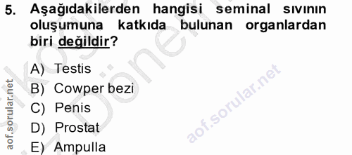 5. soru: Aşağıdakilerden hangisi seminal sıvının oluşumuna katkıda bulunan organlardan biri değildir? A) Testis B) Cowper bezi…