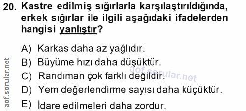 20. soru: Kastre edilmiş sığırlarla karşılaştırıldığında, erkek sığırlar ile ilgili aşağıdaki ifadelerden hangisi yanlıştır? A)…