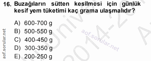 16. soru: Buzağıların sütten kesilmesi için günlük kesif yem tüketimi kaç grama ulaşmalıdır? A) 600-700 g B) 500-550 g C) 400-4…