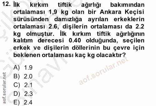12. soru: ilk kırkım tiftik ağırliğı bakımından ortalaması 1,9 kg olan bir Ankara Keçisi sürüsünden damızlığa ayrılan erkekleri…