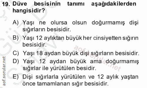 19. soru: Düve besisinin tanımı aşağıdakilerden hangisidir? A) Yaşı ne olursa olsun doğurmamış dişi sığırların besisidir. B) Ya…
