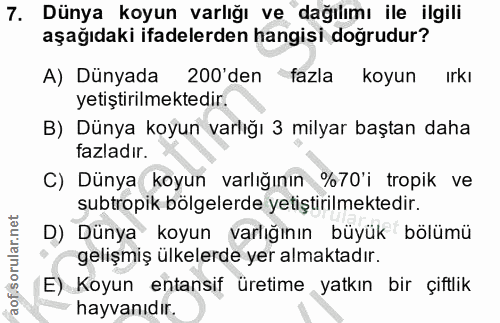 7. soru: Dünya koyun varlığı ve dağılımı ile ilgili aşağıdaki ifadelerden hangisi doğrudur? A) Dünyada 200 den fazla koyun ırk…