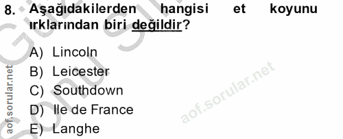 8. soru: - Aşağıdakilerden hangisi et koyunu ırklarından biri değildir? A) Lincoln B) Leicester C) Southdown D) Ile de France…