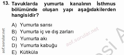 13. soru: Tavuklarda yumurta kanalının Isthmus bölümünde oluşan yapı aşağıdakilerden hangisidir? A) Yumurta sarısı B) Yumurta i…