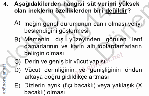 4. soru: Aşağıdakilerden hangisi süt verimi yüksek olan ineklerin özelliklerden biri değildir? A) İneğin genel durumunun canlı…
