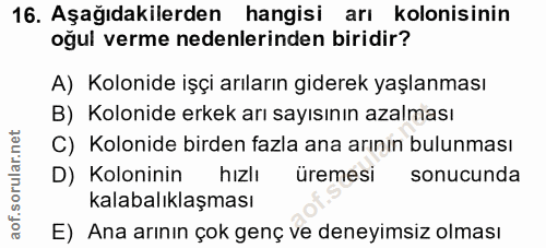 16. soru: Aşağıdakilerden hangisi arı kolonisinin oğul verme nedenlerinden biridir? A) Kolonide işçi arıların giderek yaşlanmas…