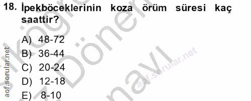 18. soru: Ipekböceklerinin koza örüm süresi kag saattir? A) 48-72 B) 36-44 C) 20-24 D) 12-18 E) /8-10
