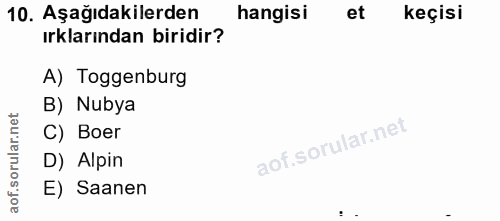 10. soru: Aşağıdakilerden hangisi et keçisi ırklarından biridir? A) Toggenburg B) Nubya C) Boer D) Alpin E) Saanen