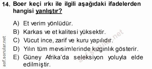 14. soru: Boer keçi ırkı ile ilgili aşağıdaki ifadelerden hangisi yanlıştır? A) Et verim yönlüdür. B) Karkas ve et kalitesi yük…