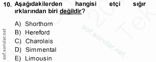 10. soru: Aşağıdakilerden hangisi etçi sığır ırklarından biri değildir? A) Shorthorn B) Hereford C) Charolais D) Simmental E) L…