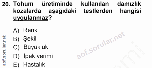 20. soru: Tohum üretiminde kullanılan damızlık kozalarda aşağıdaki testlerden hangisi uygulanmaz? A) Renk B) Şekil aof.sorular.…