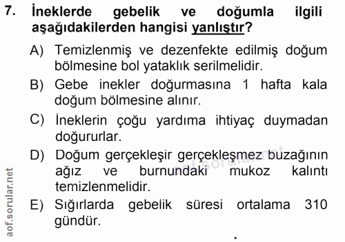 7. soru: İneklerde gebelik ve doğumla ilgili aşağıdakilerden hangisi yanlıştır? A) Temizlenmiş ve dezenfekte edilmiş doğum böl…