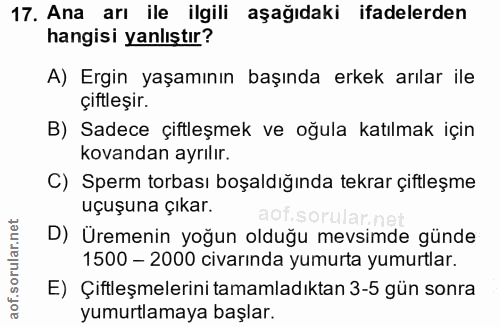 17. soru: Ana arı ile ilgili aşağıdaki ifadelerden hangisi yanlıştır? A) Ergin yaşamının başında erkek arılar ile çiftleşir. B)…