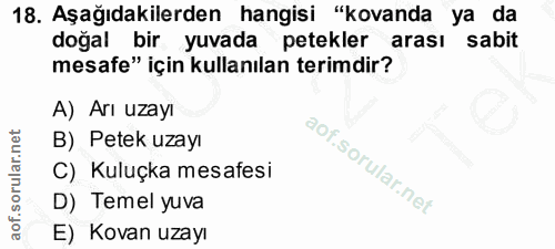 18. soru: Aşağıdakilerden hangisi "kovanda ya da doğal bir yuvada petekler arası sabit mesafe" için kullanılan terimdir? A) Arı…
