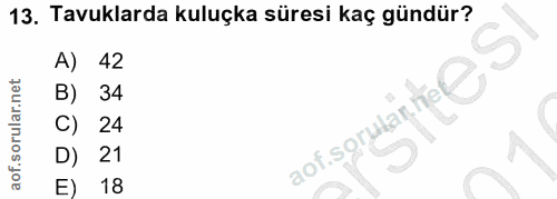 13. soru: Tavuklarda kuluçka süresi kaç gündür? A) 42 B) 34 aofsoruanto e Sl C) 24 D) 21 E) 18