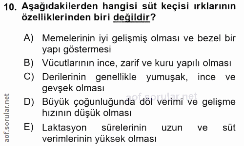 10. soru: Aşağıdakilerden hangisi süt keçisi ırklarının özelliklerinden biri değildir? A) Memelerinin iyi gelişmiş olması ve be…