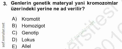 3. soru: Genlerin genetik materyal yani kromozomlar üzerindeki yerine ne ad verilir? A) Kromotit B) Homozigot C) Genotip D) Lo…