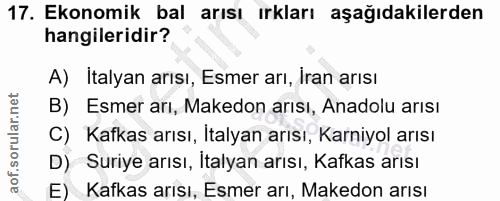 17. soru: Ekonomik bal arısı ırkları aşağıdakilerden hangileridir? A) Italyan arısı, Esmer arı, Iran arısı B) Esmer arı, Makedo…