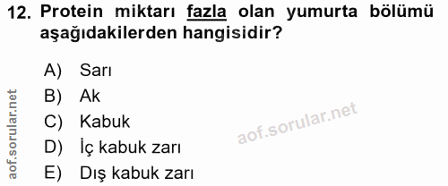 12. soru: Protein miktarı fazla olan yumurta bölümü aşağıdakilerden hangisidir? Sarı B) Ak C) Kabuk D) İç kabuk zarı E) Dış kab…