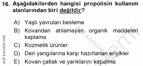 16. soru: Aşağıdakilerden hangisi propolisin kullanım alanlarından biri değildir? A) Yaşlı yavruları besleme B) Kovandan atılam…