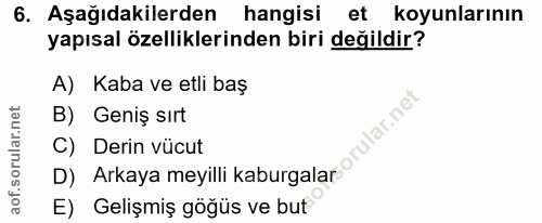 6. soru: Aşağıdakilerden hangisi et koyunlarının yapısal özelliklerinden biri değildir? A) Kaba ve etli baş B) Geniş sırt ular…