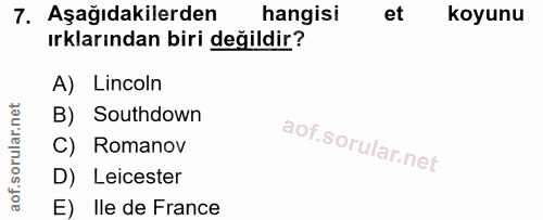 7. soru: Aşağıdakilerden hangisi et koyunu ırklarından biri değildir? A) Lincoln B) Southdown C) Romanov D) Leicester E) Ile d…