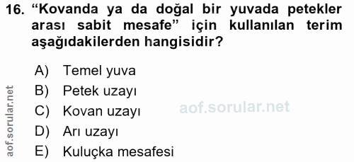 16. soru: "Kovanda ya da doğal bir yuvada petekler arası sabit mesafe" için kullanılan terim aşağıdakilerden hangisidir? A) Tem…