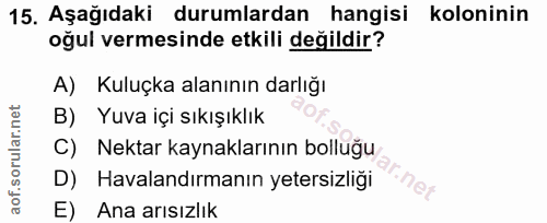 15. soru: Aşağıdaki durumlardan hangisi koloninin oğul vermesinde etkili değildir? A) Kuluçka alanının darlığı B) Yuva içi sıkı…