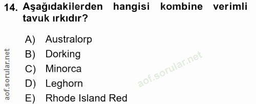 14. soru: Aşağıdakilerden hangisi kombine verimli tavuk ırkıdır? A) Australorp B) Dorking C) Minorca D) Leghorn E) Rhode Island…