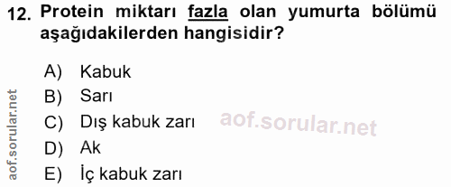 12. soru: Protein miktarı fazla olan yumurta bölümü aşağıdakilerden hangisidir? A) Kabuk B) Sarı C) Dış kabuk zarı D) Ak E) İç…
