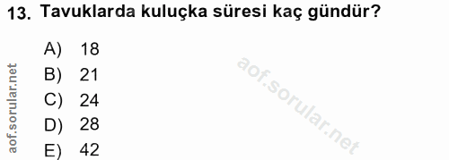 13. soru: Tavuklarda kuluçka süresi kaç gündür? A) 18 B) 21 C) 24 D) 28 E) 42