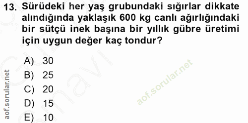 13. soru: Sürüdeki her yaş grubundaki sığırlar dikkate alındığında yaklaşık 600 kg canlı ağırlığındaki bir sütçü inek başına bi…