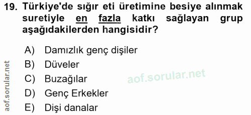 19. soru: Türkiye'de sığır eti üretimine besiye alınmak suretiyle en fazla katkı sağlayan grup aşağıdakilerden hangisidir? A)Da…
