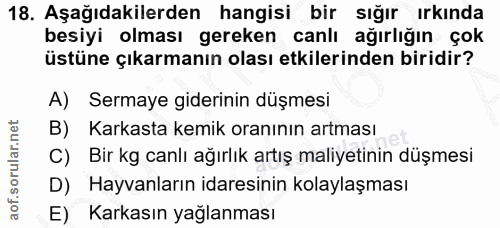 18. soru: Aşağıdakilerden hangisi bir sığır ırkında besiyi olması gereken canlı ağırlığın çok üstüne çıkarmanın olası etkilerin…