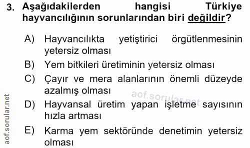 3. soru: Aşağıdakilerden hangisi Türkiye hayvancılığının sorunlarından biri değildir? A) Hayvancılıkta yetiştirici örgütlenmes…