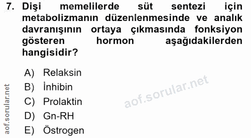 7. soru: Dişi memelilerde süt sentezi için metabolizmanın düzenlenmesinde ve analık davranışının ortaya çıkmasında fonksiyon g…