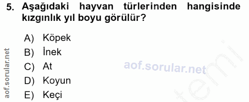 5. soru: Aşağıdaki hayvan türlerinden hangisinde kızgınlık yıl boyu görülür? A) Köpek B) Inek C) At D) Koyun E) Keçi