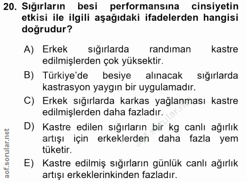 20. soru: Sığırların besi performansına cinsiyetin etkisi ile ilgili aşağıdaki ifadelerden hangisi doğrudur? A) Erkek sığırlard…