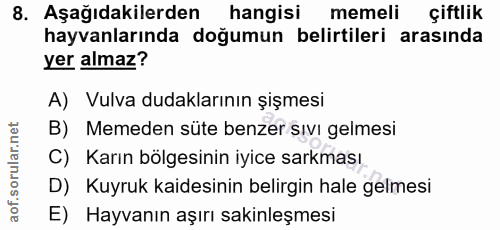 8. soru: Aşağıdakilerden hangisi memeli çiftlik hayvanlarında doğumun belirtileri arasında yer almaz? A) Vulva dudaklarının şi…